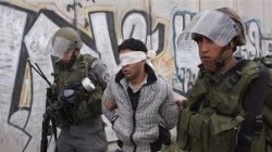 الاحتلال يعتقل سبعة فلسطينيين من الضفة