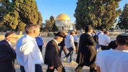 مستوطنون صهاينة يقتحمون باحات المسجد الأقصى