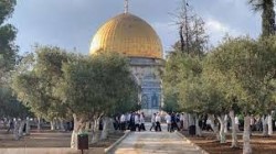عشرات المستوطنين الصهاينة يجددون اقتحامهم للأقصى المبارك