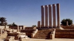 توزيع بذور محسنة للمزارعين في حريب وماهلية ورحبة بمأرب