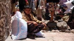 المنظمات الأممية تتسول بجياع اليمن