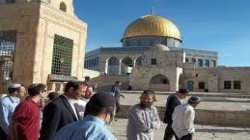 المستوطنون يجددون اقتحامهم للمسجد 