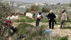 مستوطنون يعتدون على الفلسطينيين وممتلكاتهم في نابلس