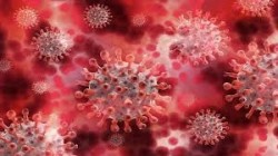 إرتفاع عدد الإصابات بفيروس كورونا في العالم إلى أكثر من 262 مليون إصابة