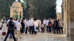 عشرات المستوطنين يجددون اقتحام الأقصى بحماية قوات الاحتلال