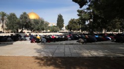 50 ألف مصلٍ يؤدون صلاة الجمعة في رحاب المسجد الأقصى المبارك