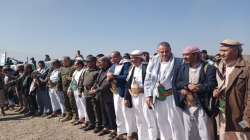 أبناء مديرية التعزية يعلنون النفير العام للجبهات