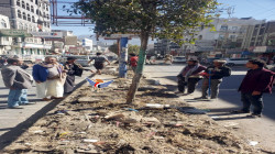تواصل حملة تقليم وتشذيب الأشجار في الجزر الوسطية بمدينة إب