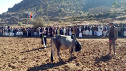 صلح قبلي ينهي قضية قتل بين آل دبلان والمكرمي في حراز بصنعاء