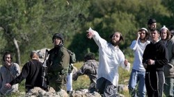 مستوطنون صهاينة يهاجمون منزلا شرق طولكرم بالضفة الغربية