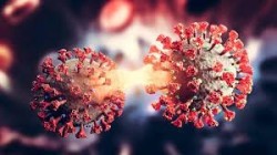 فيروس كورونا يودي بحياة أكثر من 5 ملايين و436 ألف شخص حول العالم