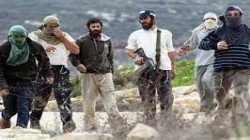 مستوطنون صهاينة يعتدون على ممتلكات الفلسطينيين في نابلس