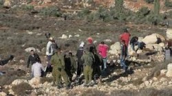 مستوطنون صهاينة يقتحمون غرب سلفيت ويعتدون على أراضي الفلسطينيين فيها