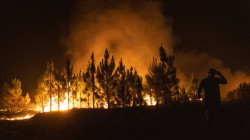 خبراء يحذرون من ارتفاع عدد حرائق الغابات بنسبة 50% مع نهاية القرن الحالي