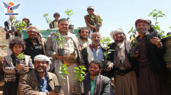 6500 Kaffeesetzlinge in Al-Hayma Al-Kharjiya von Sanaa