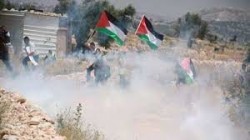 إصابة عشرات الفلسطينيين جراء قمع قوات الاحتلال لمسيرة كفر قدوم