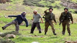 مستوطنون صهاينة يرشون 3 فتيات فلسطينيات بغاز الفلفل شرق بيت لحم
