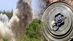 5 civilians killed in Hodeida by landmine blast