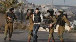 الاحتلال يعتقل ٨ فلسطينيين من الضفة