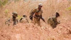 مصرع 12 جنديا و4 متطوعين في هجوم مسلح شمال بوركينا فاسو