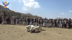 صلح قبلي ينهي قضية قتل في غمر بصعدة 