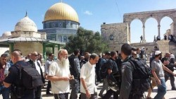 قطعان المستوطنين الصهاينة يجددون اقتحامهم لباحات الأقصى
