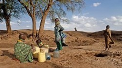 الأمم المتحدة: 20 مليون شخص مهدَّدون بالمجاعة في القرن الأفريقي