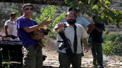 إصابة 4 فلسطينيين برصاص مستوطنين واندلاع مواجهات في صوريف بالخليل