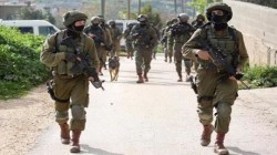 الاحتلال الإسرائيلي يكثف اعتداءاته ضد الفلسطينيين في الأراضي الفلسطينية المحتلة