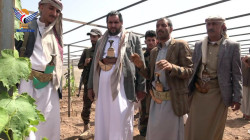 La culture de dix mille plants de raisins, à l'initiative de la communauté, inaugurée à Bani Behloul, Sanaa