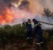 Lebanese resistance rockets burn over 60 dunums north Palestine