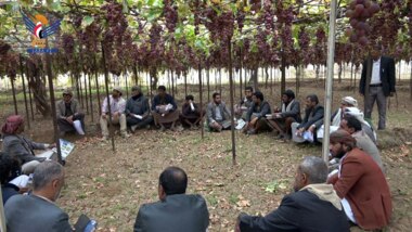 Ein Feldtag für die Feldschule der Weinbauern im Bezirk Bani Hashish in Sana’a