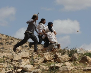 إصابة فلسطينية برضوض في هجوم للمستوطنين على مسافر يطا