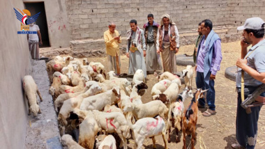 Sacrificial convoy from Bajil district in Hodeida for stationed in naval forces