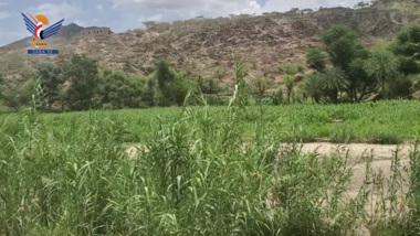 مناقشة آلية إصلاح الجانب الزراعي والتنموي في المغربة بمحافظة حجة