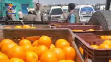 مصلحة الجمارك تقدّم كمية من الفواكه الطازجة للواء الثالث في تعز