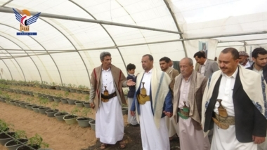 Einführung des Erfolgs der Hydrokultur zur Gemüseproduktion in Gewächshäusern in Saada 