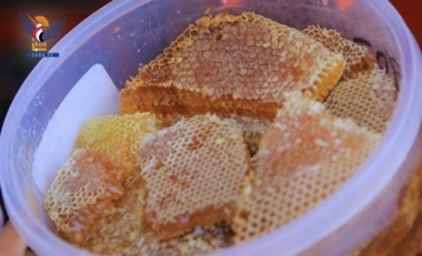 Chercheurs : La diversité des pâturages apicoles est un facteur majeur de distinction du miel yéménite et de sa haute qualité