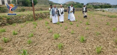 Einweihung der Arbeiten zum Schutz landwirtschaftlicher Flächen im Wadi Habel in Abs, Hadschah