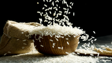 Russia sets new record in rice harvest