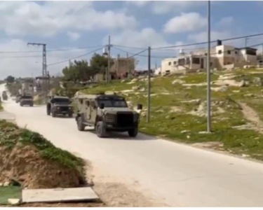 Die zionistische feindliche Behörden führen Landvermessungen in Beit Taamar, östlich von Bethlehem, durch
