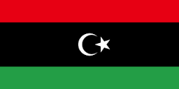 ONU : Les parties libyennes ne sont pas parvenues à s'entendre sur le cadre constitutionnel régissant les élections