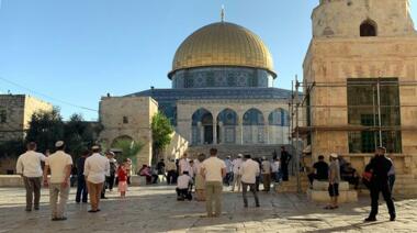 Hunderte Siedler dringen die Innenhöfe der gesegneten Al-Aqsa-Moschee ein