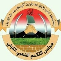 Le Conseil de cohésion tribale condamne le crime d'agression de mercenaires US-saoudienne contre six filles à Hodeidah
