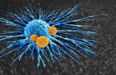 Discovery of bacteria that have ability to 