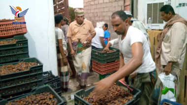 Supplying 150 tons of dates in Hodeida