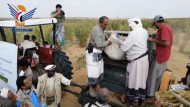 Al-Nuaimi und Al-Shami inspektieren der Aktivitäten bei der Ernte der Hirseernte in Abs