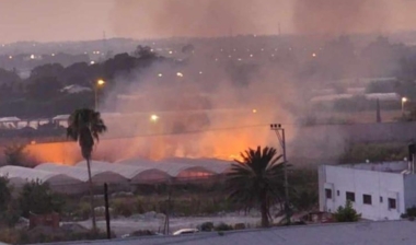 Zionist army burns greenhouses, crops south Tulkarm