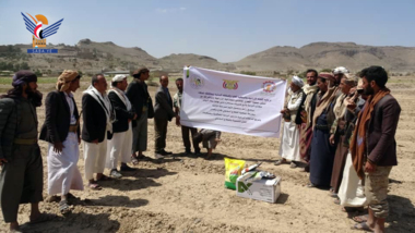 Lancement de la troisième saison de culture de l'ail dans le secteur sud-est de Sanaa