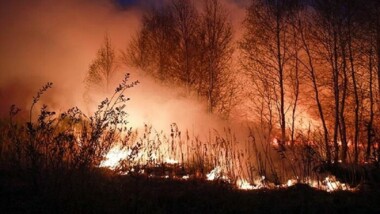 روسيا.. حرائق غابات ضخمة قرب أليوشكي رغم الفيضانات بعد تدمير محطة كاخوفكا